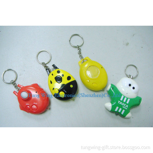 Music/Sound/Flashing/Recordable Keychain for Promotion